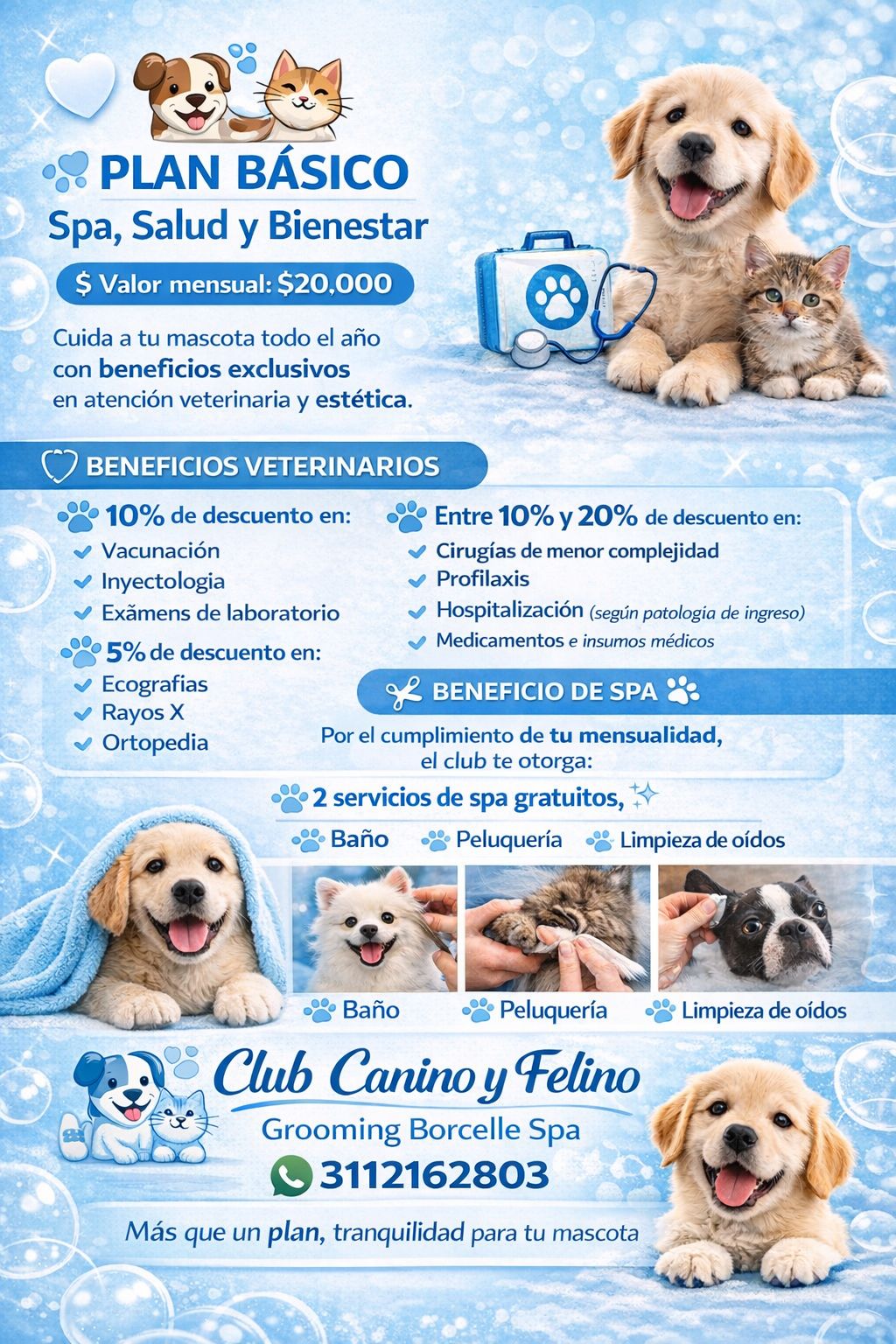 Plan Básico